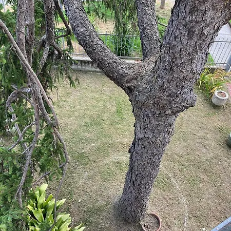 Apartamento La Casa Dei Limoni Fiumaretta di Ameglia