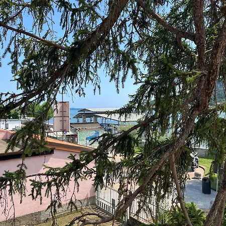 La Casa Dei Limoni Apartment Fiumaretta di Ameglia