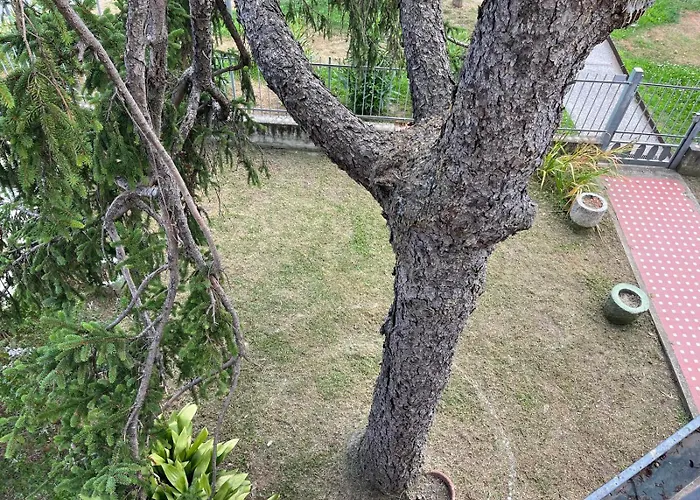 Lejlighed La Casa Dei Limoni Fiumaretta di Ameglia